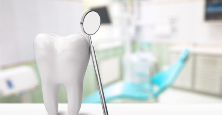 歯科医院にある綺麗な歯の模型とお口の中を見るための小さなミラー