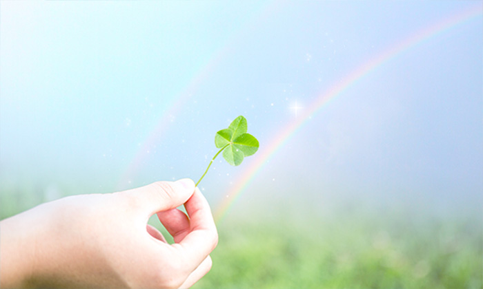 4つ葉のクローバーとダブルレインボーの画像