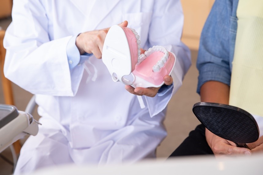 口の模型を使用して歯ブラシ指導をする歯科医師のイメージ写真