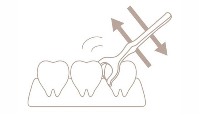 歯と歯の間に柄付きのデンタルフロス（糸ようじ）を通すイメージイラスト