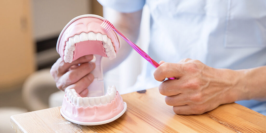 口の模型を使用して歯ブラシ指導をする歯科医師のイメージ写真